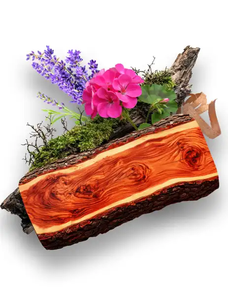 Mahogany & Teakwood CF - Clean Fragrances